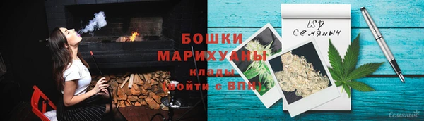 гидра Майский