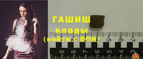 гидра Майский