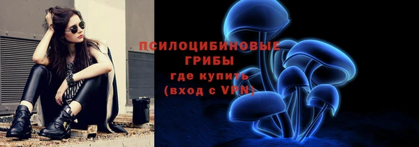 гидра Майский