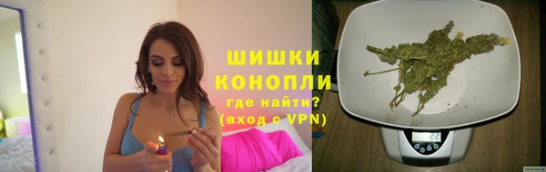 гидра Майский