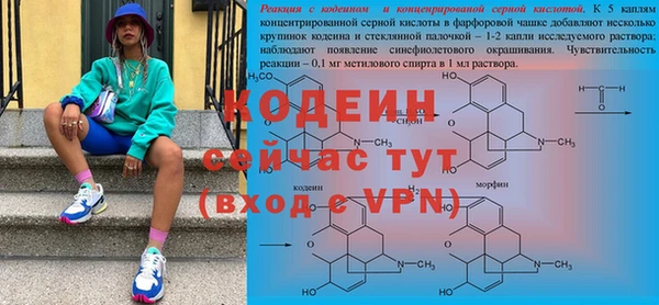гидра Майский