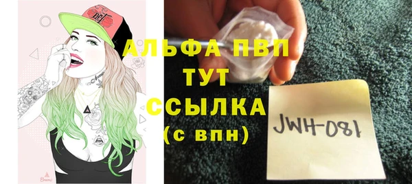 гидра Майский