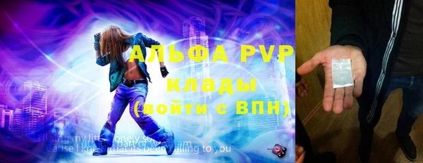 гидра Майский