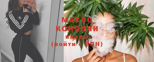 гидра Майский