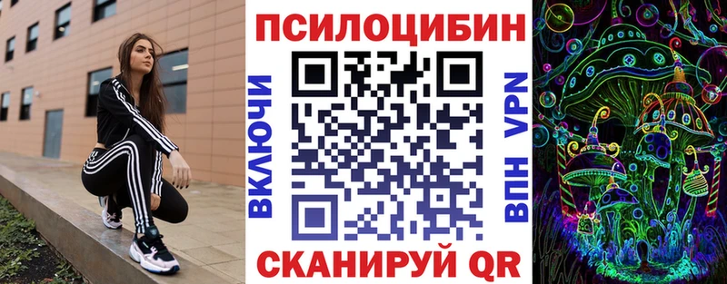 OMG tor  Талица  Псилоцибиновые грибы GOLDEN TEACHER 